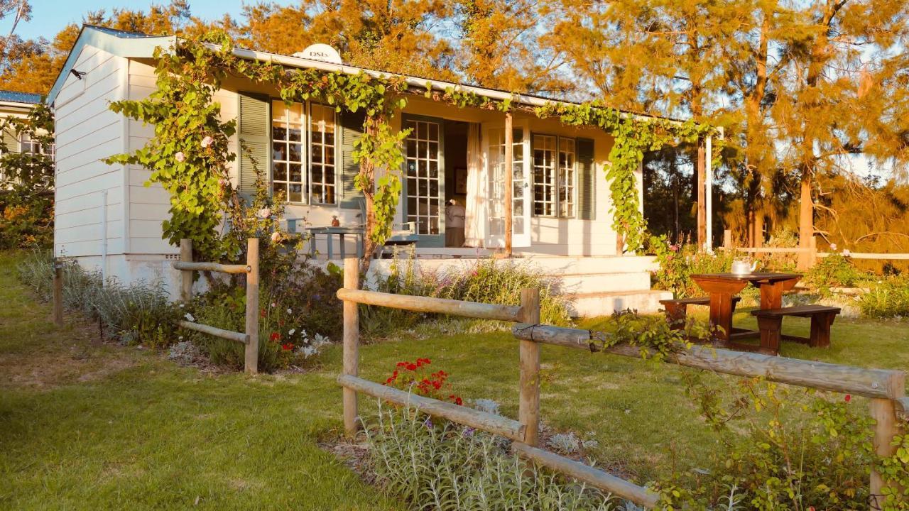 Cheverells Farm Grabouw Dış mekan fotoğraf
