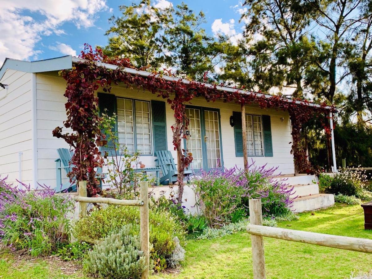 Cheverells Farm Grabouw Dış mekan fotoğraf