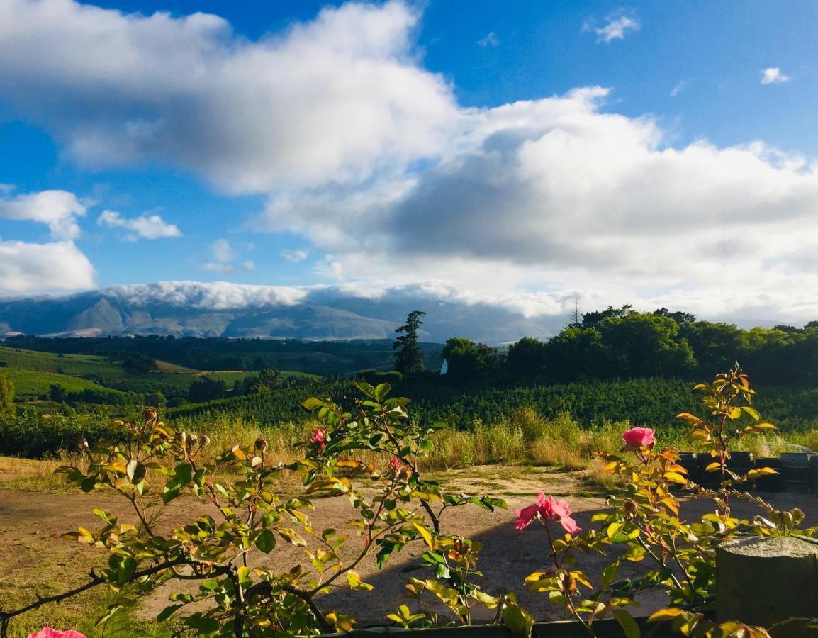 Cheverells Farm Grabouw Dış mekan fotoğraf