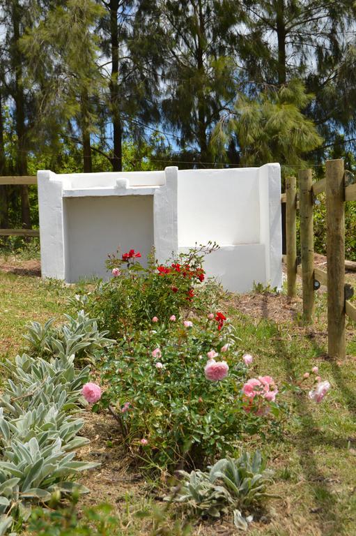 Cheverells Farm Grabouw Dış mekan fotoğraf