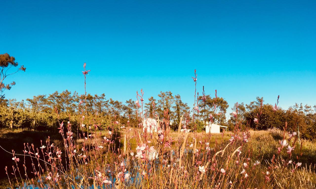 Cheverells Farm Grabouw Dış mekan fotoğraf