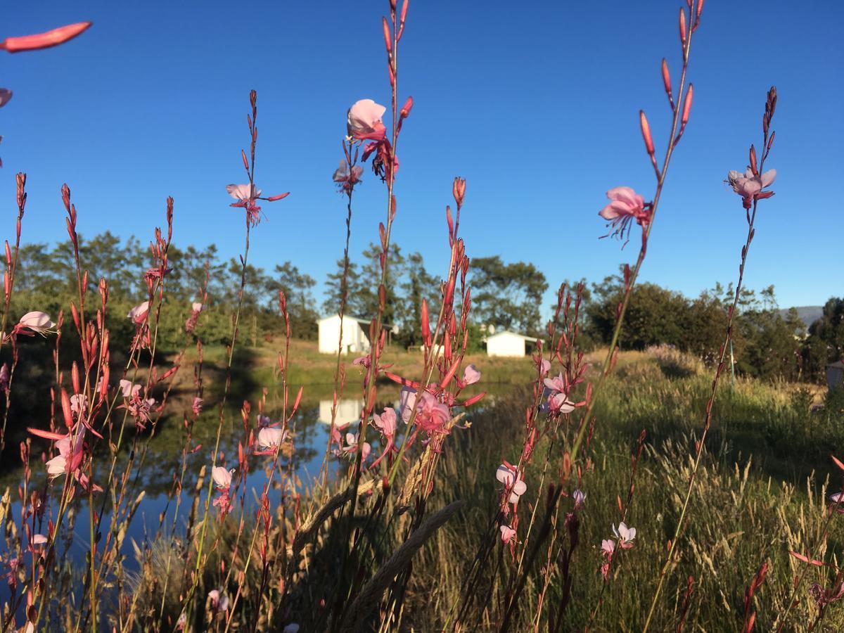 Cheverells Farm Grabouw Dış mekan fotoğraf